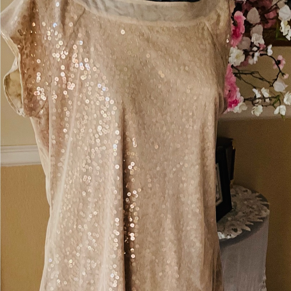 Sequin Gold top